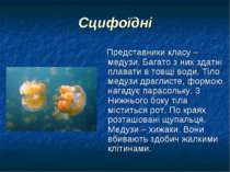 Сцифоїдні Представники класу – медузи. Багато з них здатні плавати в товщі во...