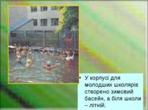 У корпусі для молодших школярів створено зимовий басейн, а біля школи – літній.