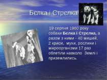Бєлка і Стрєлка 19 серпня 1960 року собаки Бєлка і Стрєлка, а разом з ними - ...