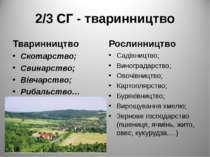 2/3 СГ - тваринництво Тваринництво Скотарство; Свинарство; Вівчарство; Рибаль...