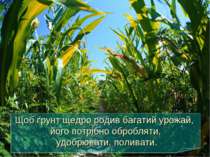 Щоб ґрунт щедро родив багатий урожай, його потрібно обробляти, удобрювати, по...