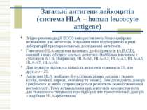 Загальні антигени лейкоцитів (система HLA – human leucocyte antigene) Згідно ...