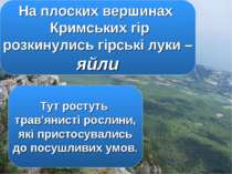 На плоских вершинах Кримських гір розкинулись гірські луки – яйли Тут ростуть...