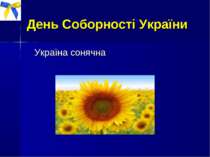 День Соборності України Україна сонячна