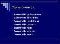 Сальмонельоз: Salmonella typhimurium Salmonella enteritidis Salmonella Heidel...