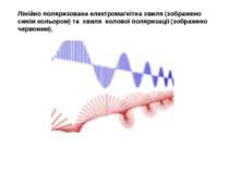 Лінійно поляризована електромагнітна хвиля (зображено синім кольором) та хвил...