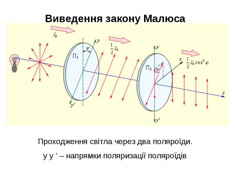Виведення закону Малюса Проходження світла через два поляроїди. y y ‘ – напря...