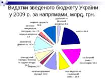 Видатки зведеного бюджету України у 2009 р. за напрямами, млрд. грн.