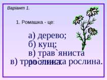 а) дерево; б) кущ; в) трав`яниста рослина. 1. Ромашка - це: Варіант 1. в) тра...