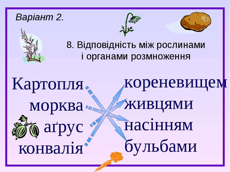 Картопля морква аґрус конвалія 8. Відповідність між рослинами і органами розм...