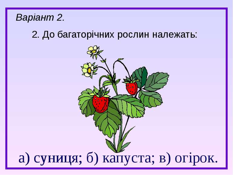 а) суниця; б) капуста; в) огірок. 2. До багаторічних рослин належать: а) суни...