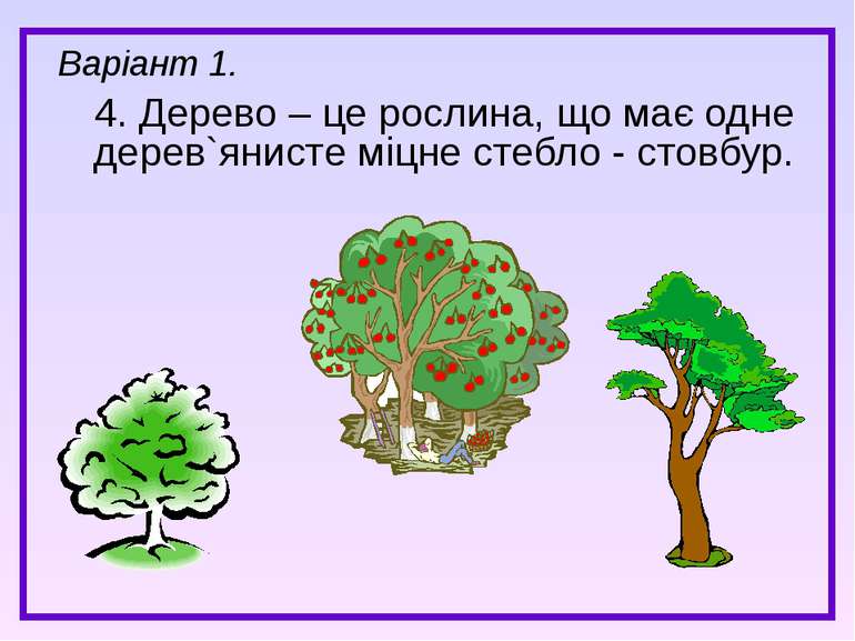 4. Дерево – це рослина, що має одне дерев`янисте міцне стебло - стовбур. Варі...
