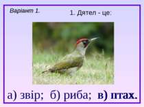 а) звір; б) риба; в) птах. 1. Дятел - це: Варіант 1. в) птах.