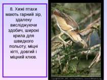 8. Хижі птахи мають гарний зір, здалеку висліджуючи здобич, широкі крила для ...