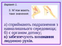 а) сприймають подразнення з навколишнього середовища; б) є органом дотику; в)...