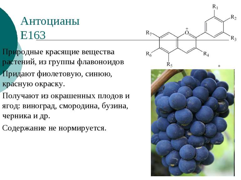 Антоцианы Е163 Природные красящие вещества растений, из группы флавоноидов Пр...